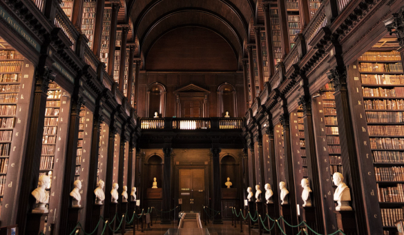 book shelves in a library